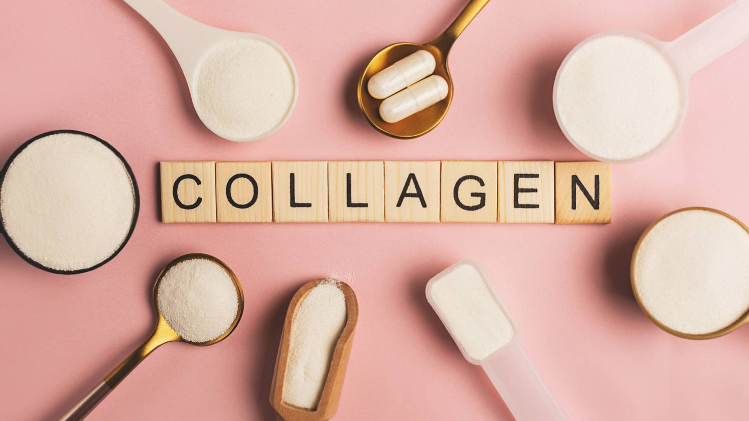 collagène en poudre
