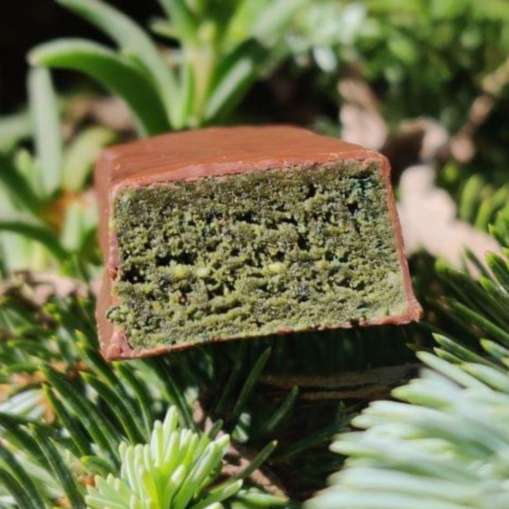 Barre verte vegan cacahuète Spiruline sans gluten à l'unité PROLINEA